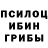 Псилоцибиновые грибы Psilocybine cubensis Vitya Vorobyov