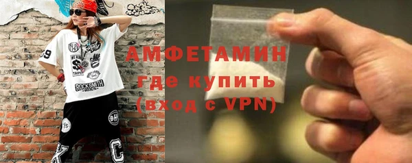 прущие грибы Заводоуковск