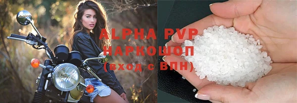прущие грибы Заводоуковск