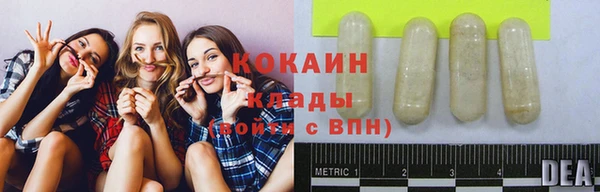амф Заволжье