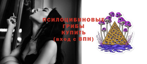 гашик Зеленодольск