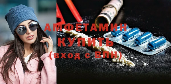 прущие грибы Заводоуковск