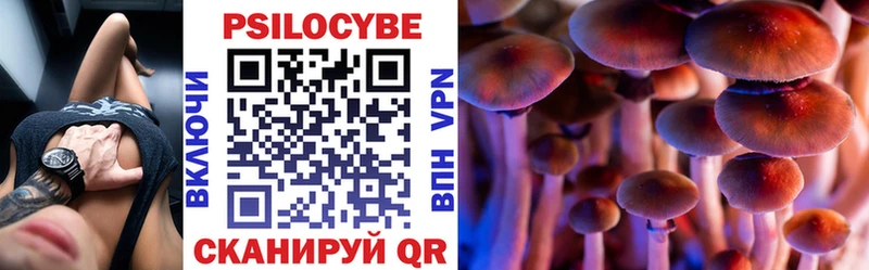 Купить  Кедровый  Галлюциногенные грибы Psilocybe 